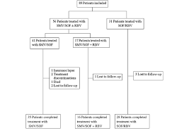 patient flow chart of hepatitis c virus treatment groups