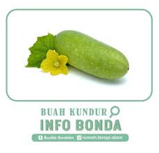 Maybe you would like to learn more about one of these? Buah Kundur Sgt Elok Jamu Ratu Malaya Royal V Mustanir Facebook