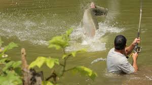 Cyril chauquet seeks out dangerous creatures in the most remote corners of the planet. Chasing Monsters Tv Series 2015 Imdb