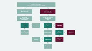 A low level of iron (which can cause anemia) can occur with celiac disease. Non Celiac Gluten Sensitivity The Path Towards Diagnosis