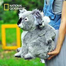 Koala's are on the endangered list. National Geographic Kawaii Koala Plush Toys For Children Australian Koala Bear Plush Stuffed Soft Doll Kids Lovely Gift For Girl Stuffed Plush Animals Aliexpress