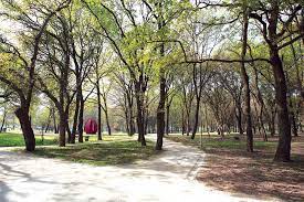 Algo que eu acho interessante era se removessem a antiga fábrica na zona laranja, e unissem a estação ao início do parque sara moreira. Educacao Em Festa No Parque Urbano Jornal Do Ave
