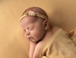 Caledonia High School 2024...