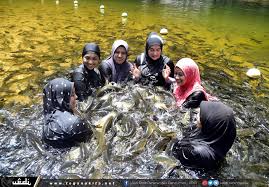 Tempat menarik di tasik kenyir, terengganu. Tasik Kenyir Tempat Percutian Idaman Trdi News
