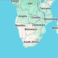 Image result for Tridactyle scottellii