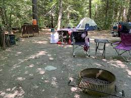 Home Away From Home Dar State Forest Ma Camping Hiking Outdoors Tent Outdoor Caravan Campsite Travel Fishing Survi State Forest Home And Away Forest