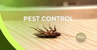 See more of breda pest management on facebook. Breda Pest Management Home Facebook