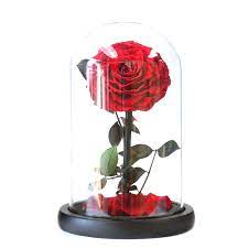 A great anniversary or special holiday gift! Red Preserved Rose In Glass Dome Preserved Roses With Gift Box Father S Day Gift For Dad High Quality Eternal Roses For Home Decor Shopee Philippines