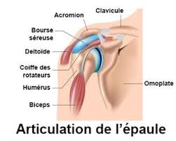 Cette condition, en particulier avec l'apparition de la douleur dans la poitrine et la mâchoire. Douleur A L Epaule Fourmillements Dans Le Bras Docteurclic Com