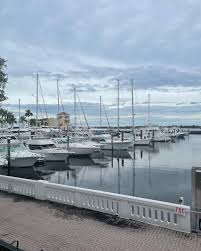 Profile for Lee Fogle