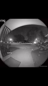 Charlie, don't touch that tree! 🎄😂🤷‍♀️ #catsoffacebook #cattrouble  #christmas2024 #catsofchristmas #catreels #troublemaker #merrychristmas