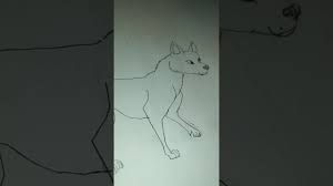 How To Draw A Dingo Youtube Draw 2 squished circles for eyes. how to draw a dingo