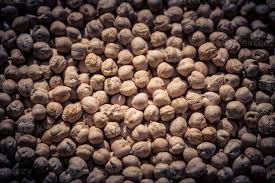 Image result for Cicer arietinum