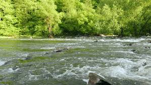 After adding the chemical, put the lid back on your water container and shake it for a minute. The Mountain River With Turbulent Stock Footage Video 100 Royalty Free 10000937 Shutterstock