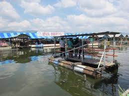 It was junk, sent by an unknown third party who is not using feedblitz to send their emails or manage their rss feeds. Wisata Soloraya Lebaran 2014 Pengunjung Rowo Jombor Klaten Turun