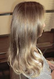 Natural Light Brown Hair Natural Light Brown Hair Dark Blonde Hair Light Brown Hair