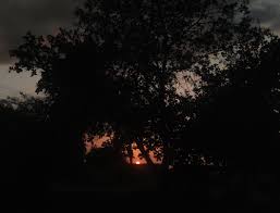 Sunset Quotes In Hindi Gujarati Marathi And English Matrubharti 8,039 likes · 58 talking about this.