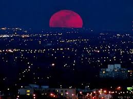 食甚紅色月亮僅持續15分鐘，傍晚7時盯緊月亮 first supermoon of 2021 rises across the globe ç¥žç¥•è¡€æœˆå¤äººè¦–ä¸ç¥¥ä¹‹å…† ç†±ç·šè¿½è¹¤