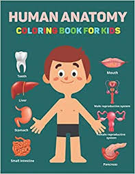 Download and print these body parts coloring pages for free. Human Anatomy Coloring Book For Kids Human Body Parts Coloring Book Great Gift For Boys Girls Anatomy Workbook For Kids 4 8 Years Old Children S Science Books Perfect Gift For Kids Birthday