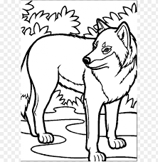 La longitud del óvalo debe ser una vez y media la altura. Bosquejos Para Dibujar Un Lobo Png Image With Transparent Background Toppng