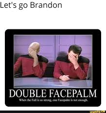 Image result for double facepalm