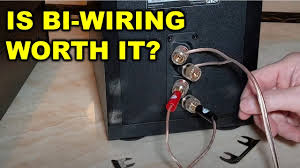 Bi-Wire Sense Or Nonsense? - General Forum - Audiophile Style