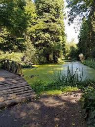 The Arboretum Park Simeria City Hunedoara County Arboretum Hunedoara Garden