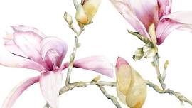 Week of Watercolor: with Sarah Peterson