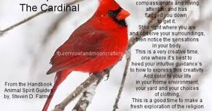 Animal Spirit Guide The Cardinal Animal Spirit Guide Animal Spirit Guides Spirit Animal Totem