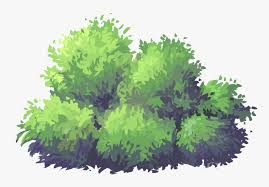 Transparent Anime Grass Png Transparent Background Anime Grass Png Png Download Transparent Png Image Pngitem Dark anime street at night background.