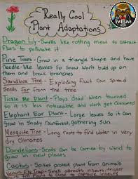 plant adaptations anchor chart from the pensive sloth for