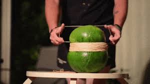 This guy decided to do an experiment along with his daughter using watermelon and some rubber bands. Best Watermelon Gifs Primo Gif Latest Animated Gifs