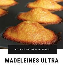 Bio one, clara bernadeth, yasamin jasem. El Djaoid Eldjaoid Profile Pinterest