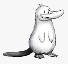 White Platypus Hd Png Download Transparent Png Image Pngitem Black and white platypus swimming with bubbles #1108815 by dennis holmes designs. white platypus hd png download