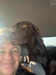 What is a good brush for a pitbull with sensitive skin?