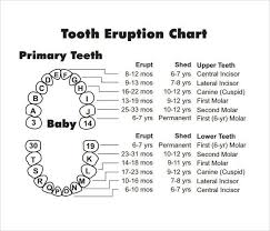 baby teeth chart many times something cold in your