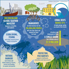 Ocean Wealth On Twitter Ocean Habitat Ocean Oceans Of The World