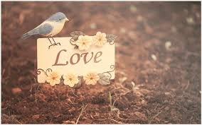 Cute Love Background Wallpaper Cute Couple Love Wallpaper Backgrounds Cute Love Background Im Love Wallpaper Love Wallpaper Backgrounds Cute Love Wallpapers