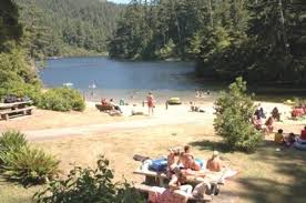 Less than a mile from the park is salmon harbor on winchester bay. I Would Have Gone Camping But I Needed Wi Fi Oregon Travel Newport Oregon State Parks