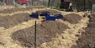 After you've gotten all the seeders, go after the big weeds that are currently blooming. Weed Control Plan For An Organic Vegetable Garden