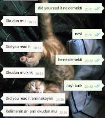 Bu noktada da aşağıdaki görselin tüm bu akımı başlattığını söylesek hata yapmış olmayız. Ne Demek Mizah Komik Resimler Komik Capsler