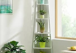 Check out our bamboo pot selection for the very best in unique or custom, handmade pieces from our planters & pots shops. Pots Planters House Garden Deals In Hawkes Bay