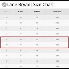 Lane Bryant Sweater Size 18 20