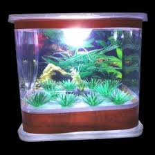 Toples kaca, batu hias, tanaman hias dan tentu saja ikan. Jual Produk Aquarium Minimalis Termurah Dan Terlengkap Juli 2021 Bukalapak