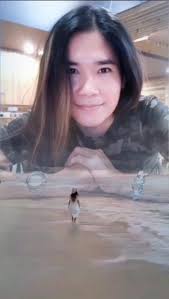 Chinese Classic Songs 中国古典歌曲