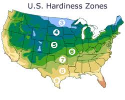 Growing zones are only allowed in soil, rich soil, or gravel, each with an effect on growth rate. Hardiness Zones