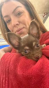 Just here with a update