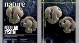Size of Nature Journal Cover - Artwork Guidelines and Samples