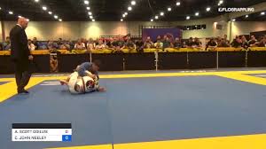 AARON SCOTT OGILVIE vs CHRISTOPHER JOHN NEELEY