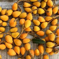 Nefle Du Japon Un Fruit Exotique Aux Multiples Bienfaits Nefles Fruits Exotiques Fruit Parfait